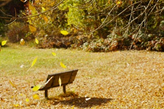 park bench